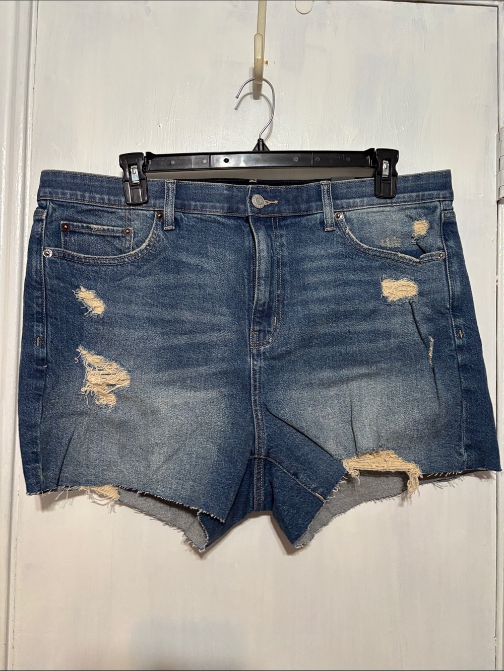 Torrid Distressed Cutoff Jean Shorts